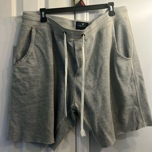 Mens America Eagle Outfitters XL shorts